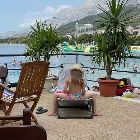 Zuta Kuca *